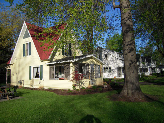 Elm.5055.jpg